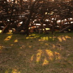 ninho-06-siri-8