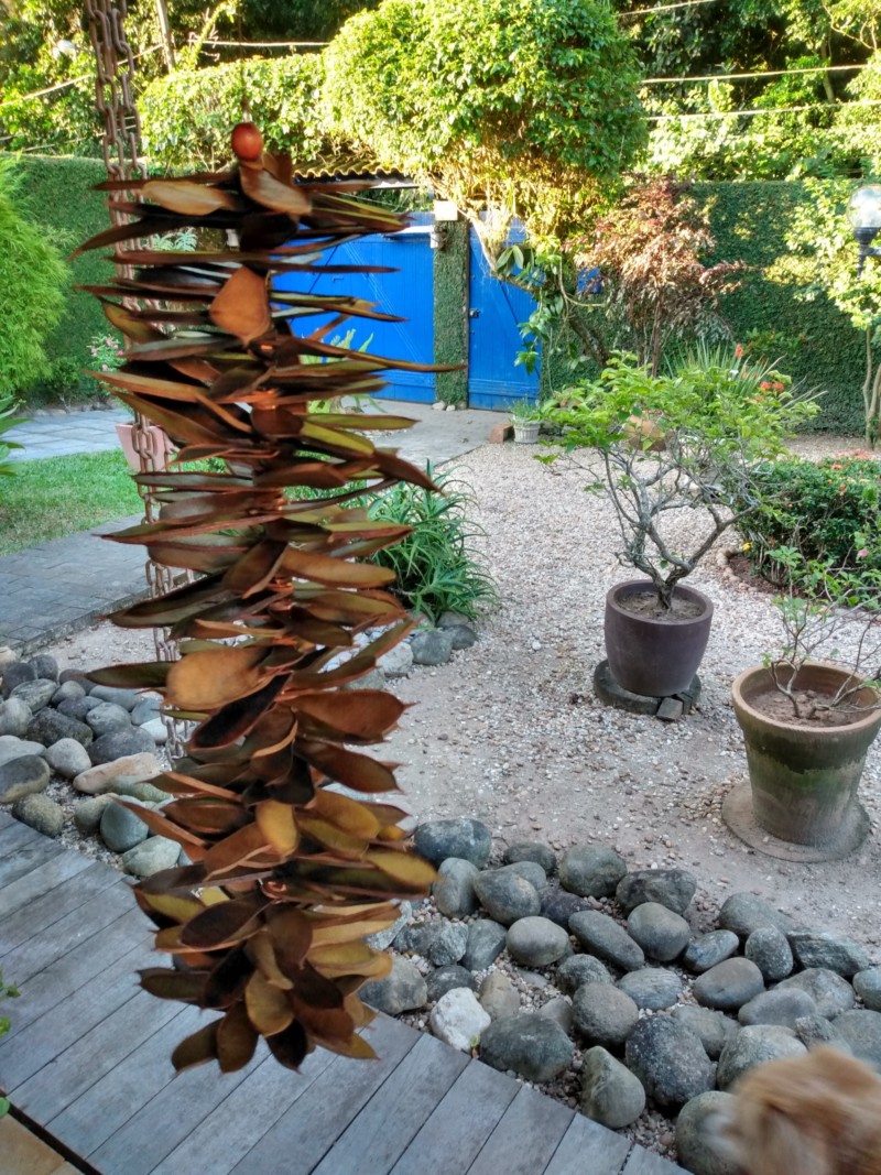 img_20210112_180339910_hdr