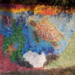 painel-da-tartaruga