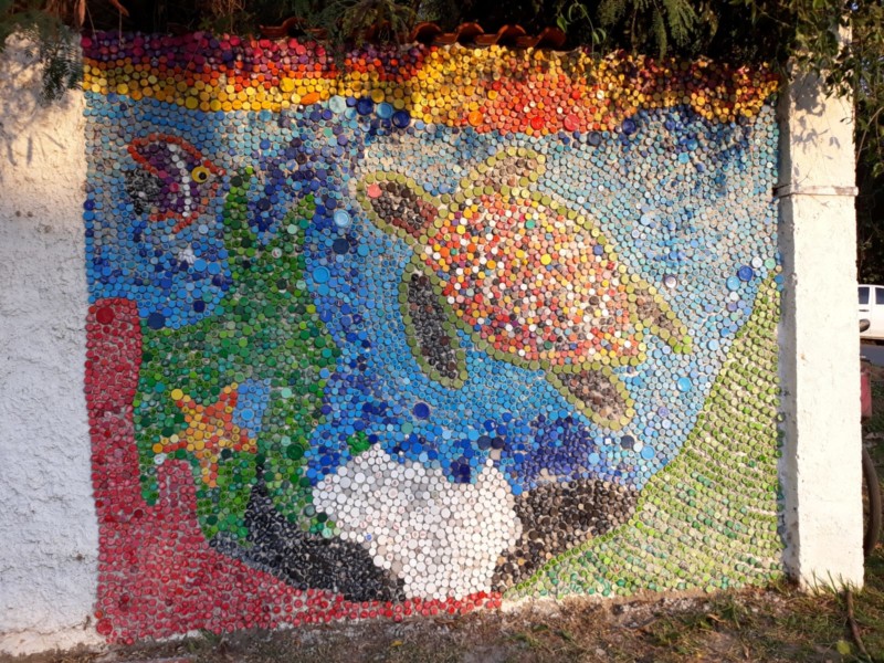 painel-da-tartaruga